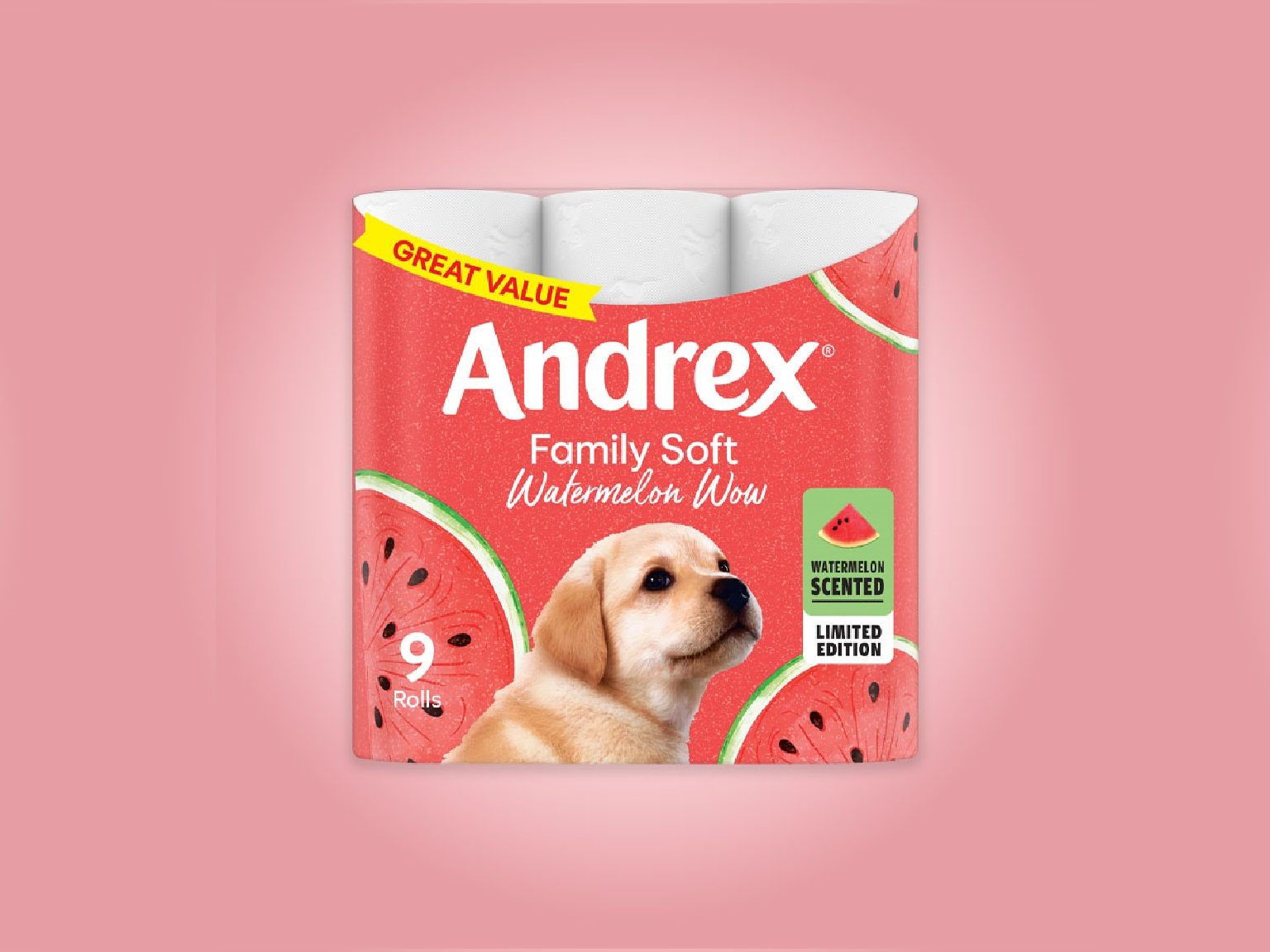 Andrex® Family Soft Coconut Toilet Tissue
