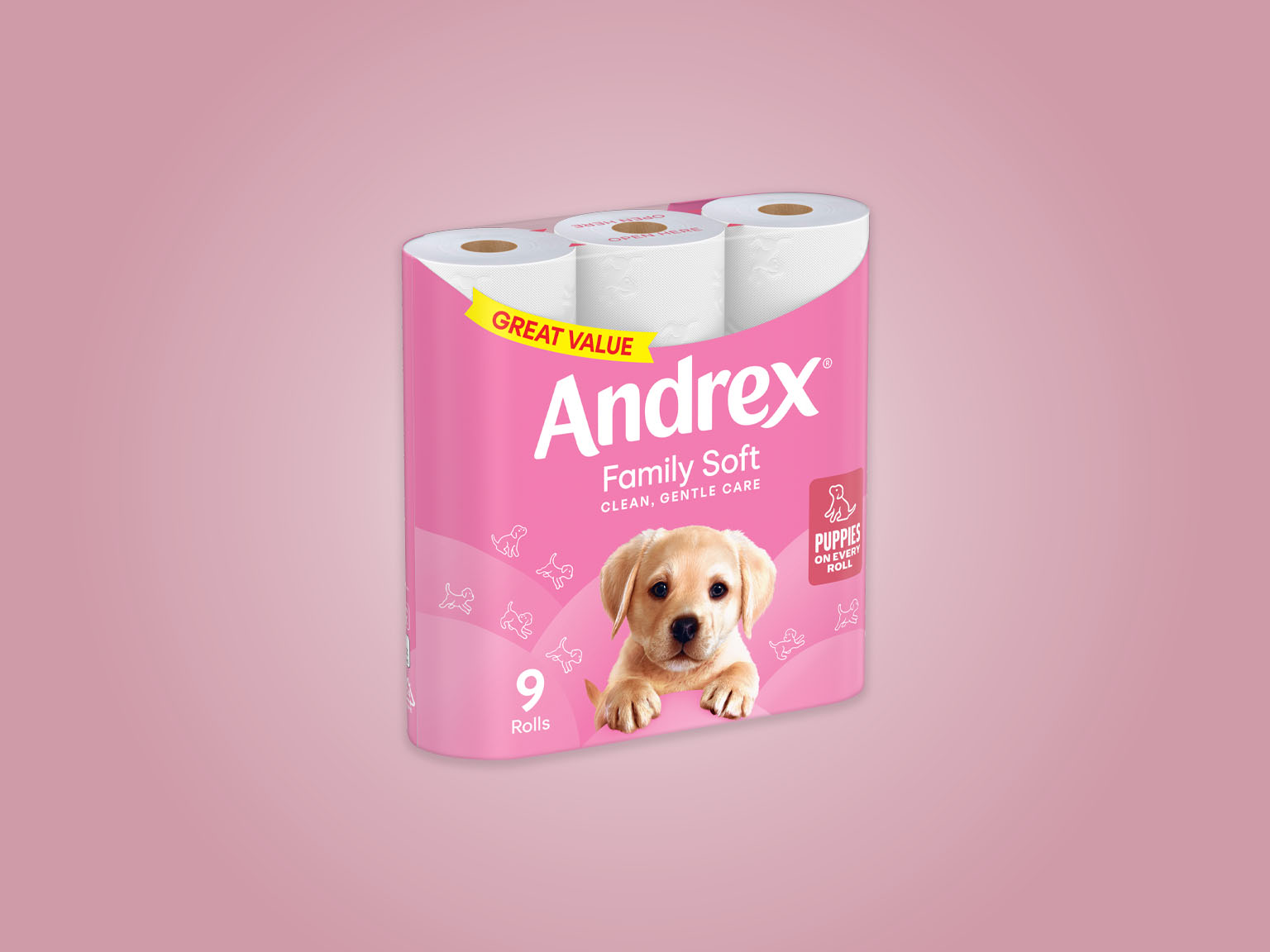 Andrex® Family Soft Toilet Tissue