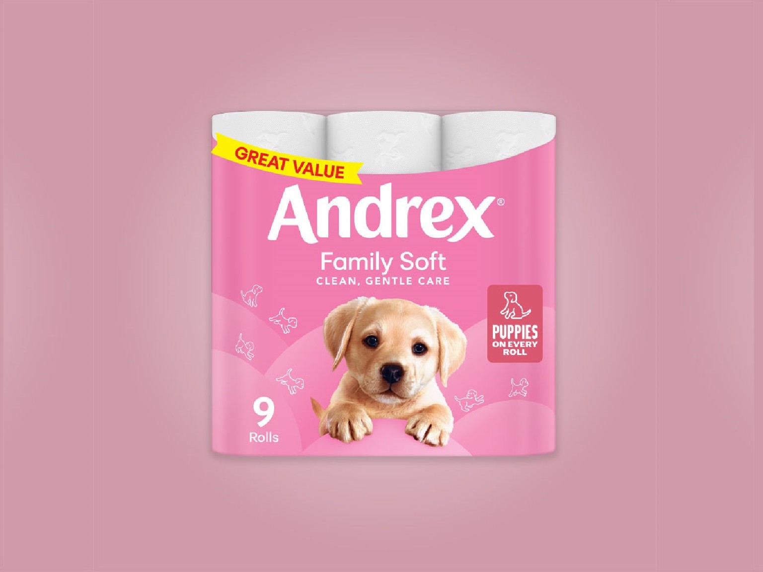 Andrex® Family Soft Toilet Tissue